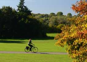 cyclist across campus 