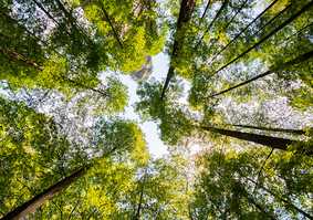 Climate Change Group