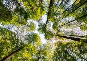 Climate Change Group