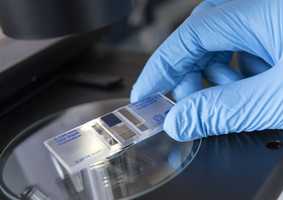 blue glove with slide scientific equipment