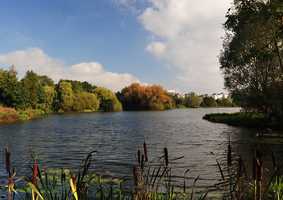 UEA Broad in the sun