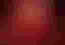 Loading blood cells in blood vessel...