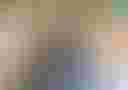 Loading image...