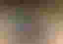 Loading image...