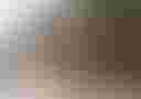 Loading image...