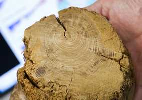 Fifty years of the Climatic Research Unit