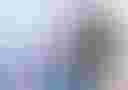Loading image...