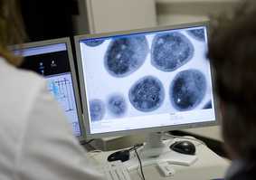 Explore UEA Research