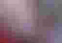 Loading image...