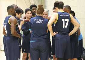 Team