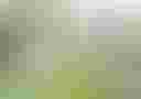 Loading image...