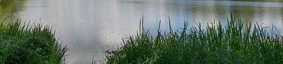 uea lake