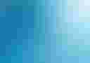 Loading image...