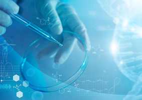Molecular Microbiology Group
