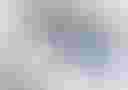 Loading image...