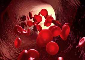 Cardiovascular and Metabolic Research Network
