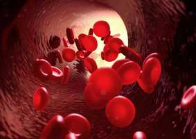 Cardiovascular and Metabolic Research Network