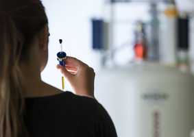 Pharmacy Education