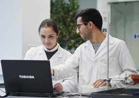 PhD Professional Development