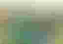 Loading image...