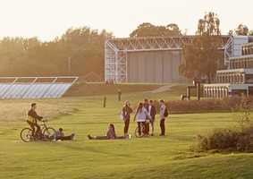 students socialising on campus