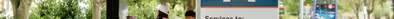 Bus_SignatbusstopAtowardsNorwich_gallery.jpg