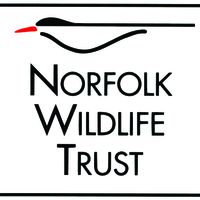 Norfolk Wildlife Trust Logo