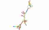 Antisense RNA structure