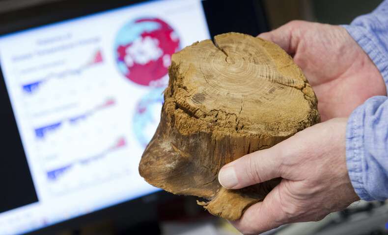 Estimates of historic temperatures can be derived from natural proxies such as tree rings.