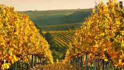 Czech Republic: The beautiful landscape of the Slovácko and Valašsko region