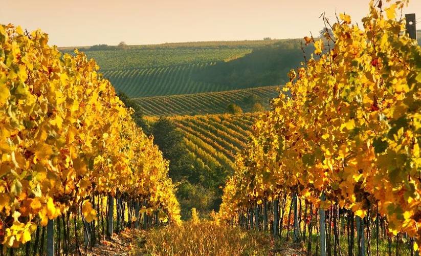 Czech Republic: The beautiful landscape of the Slovácko and Valašsko region