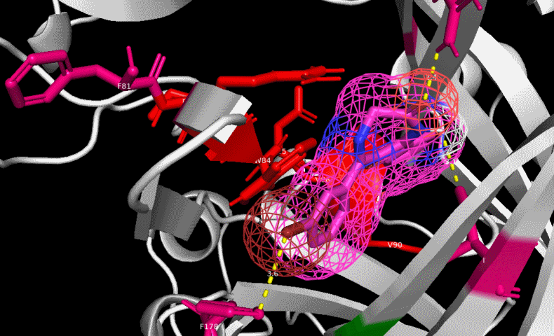 receptor drug