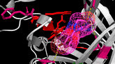 receptor drug