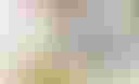 Loading image...