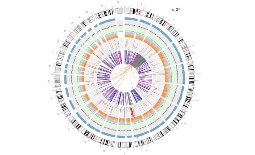 Osteosarcoma circos plot