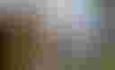 Loading image...