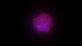 Circulating tumour cells