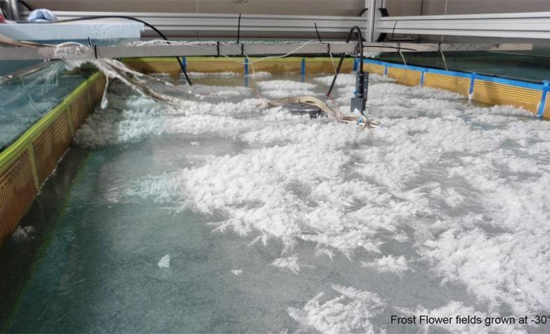 Frost flowers in the ice chamber