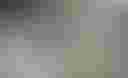Loading image...