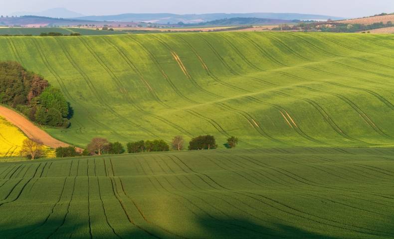 Czech Republic: Rolling green fields in the South Moravian countryside. (Photo by Ales Krivec)