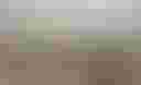 Loading image...