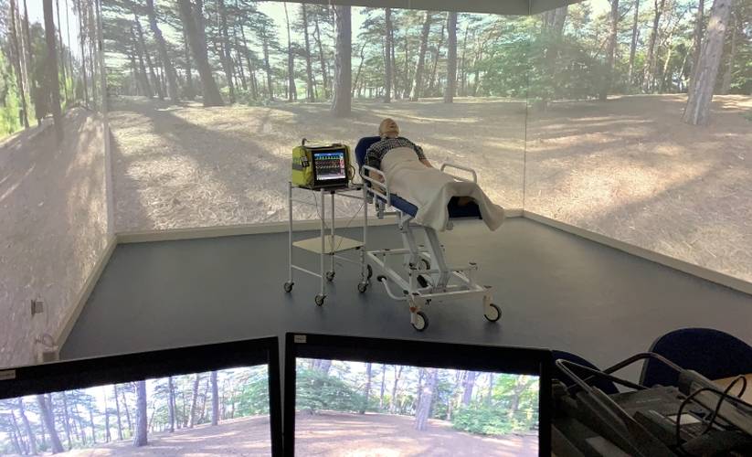 Immersive Classroom Forest Scene