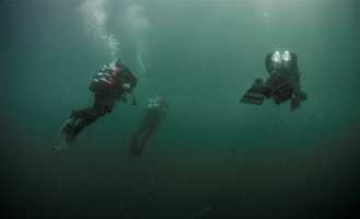 divers underwater during an exploration of the site of The Gloucester shipwreck