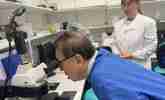 Dr KeeWee Tan looking into a research microscope alongside lab researcher Dr Rachel Hurst in Professor Colin Cooper’s prostate cancer research laboratory.