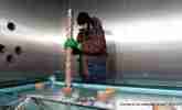 Coring of ice samples 20 cm thick