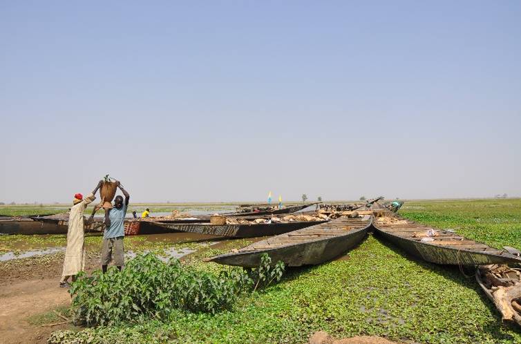 Shipping goods on the Niger River