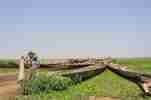 Shipping goods on the Niger River