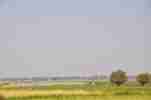 The Niger Floodplain