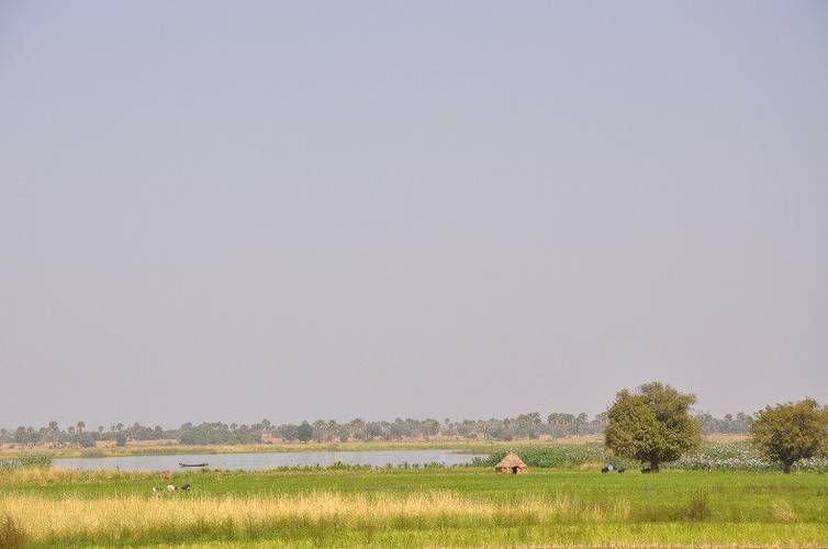 The Niger Floodplain