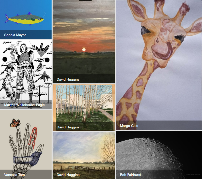 A collage of art produced during creativity and wellbeing week